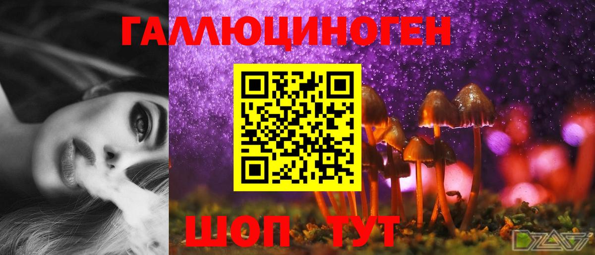 даркнет сайт  Псилоцибиновые грибы Magic Shrooms  Вход с VPN  Котлас 